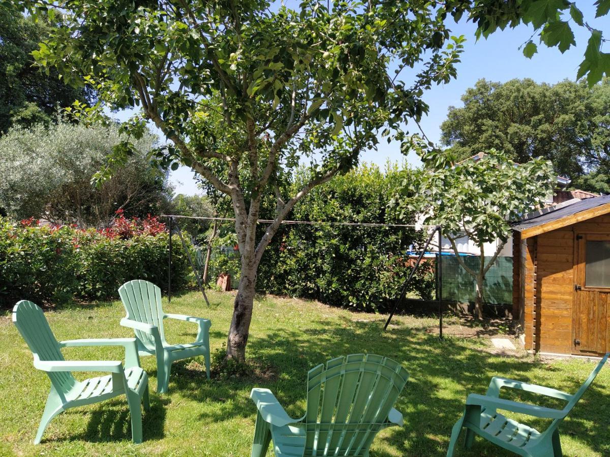 Maison Christy, Spacieux, Calme Avec Jardin Ondres Exterior foto